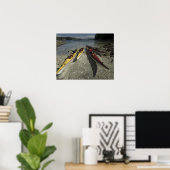 Poster Kayaks sur l'île Dicebox, Broken Island Group, (Bureau à domicile)