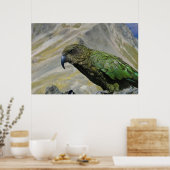 Poster Kea (Cuisine)
