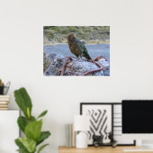 Poster Kea (Bureau à domicile)