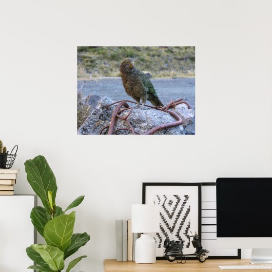 Poster Kea (Bureau à domicile)