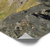 Poster Kea dans Arthur's Pass (Coin)