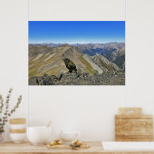 Poster Kea dans Arthur's Pass (Cuisine)