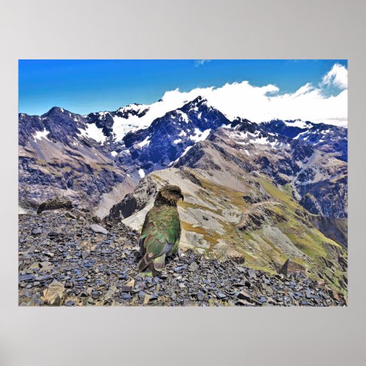 Poster Kea et Mt. Rolleston (Devant)