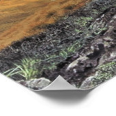 Poster Kea Kountry (Coin)