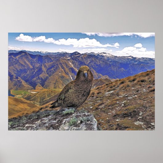 Poster Kea Kountry (Devant)