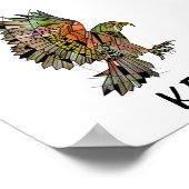 Poster Kea (Nouvelle-Zélande) (Coin)
