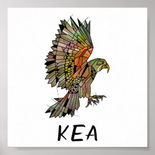 Poster Kea (Nouvelle-Zélande)