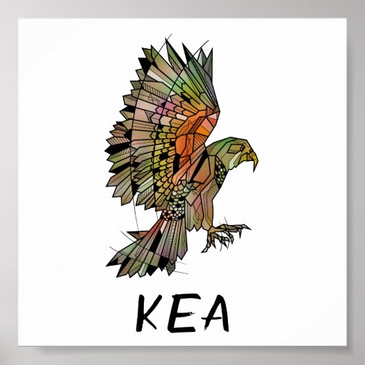 Poster Kea (Nouvelle-Zélande) (Devant)