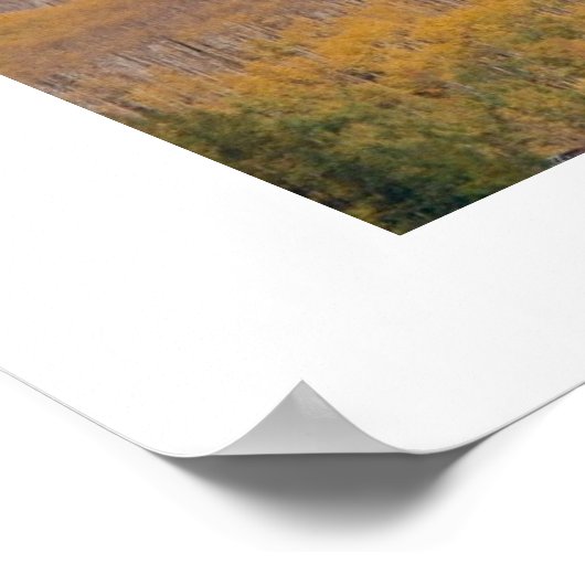 Poster Kebler Pass Automne 2001 (Coin)