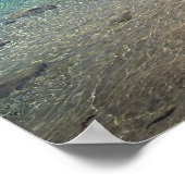 Poster Ke'e Beach, Kaua'i (Coin)