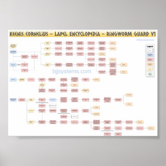 Poster Keenan Cornelius - Ringworm Guard - Flowchart v1