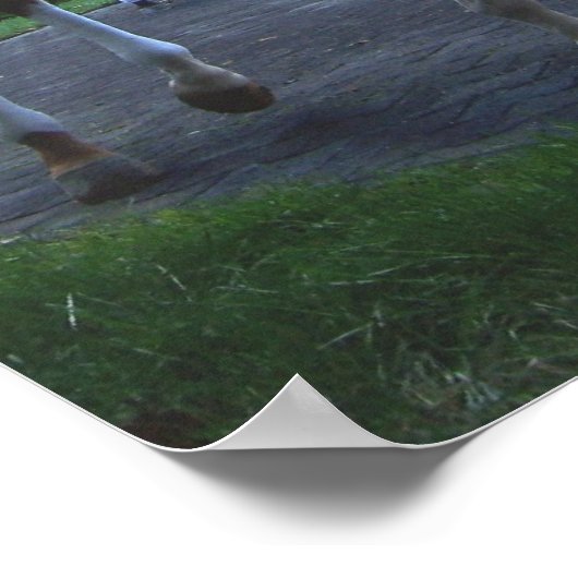 Poster Keeneland Horse Print (Coin)