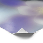 Poster Keeshond et Columbine - Photo de chien (Coin)