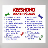 POSTER KEESHOND PL2 (Devant)