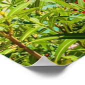 Poster Kefalonia Grèce (Coin)