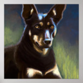 Poster Kelpie australienne - Portrait de chien (Devant)