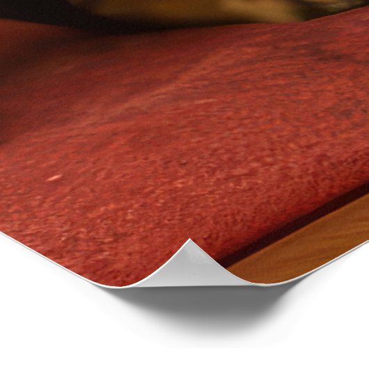 Poster Kelpie australienne près de la cheminée Noël (Coin)