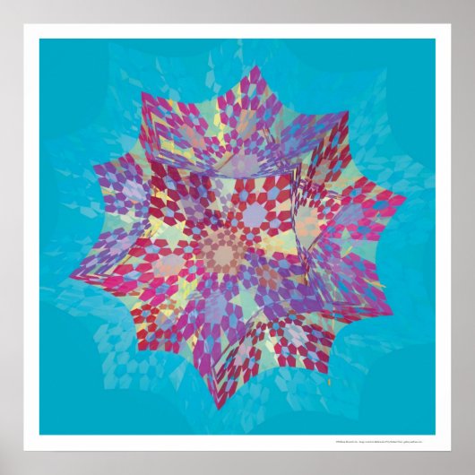 Poster Kepler Partiel (Devant)