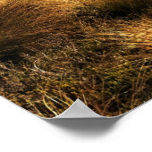 Poster Kepler Track (Coin)