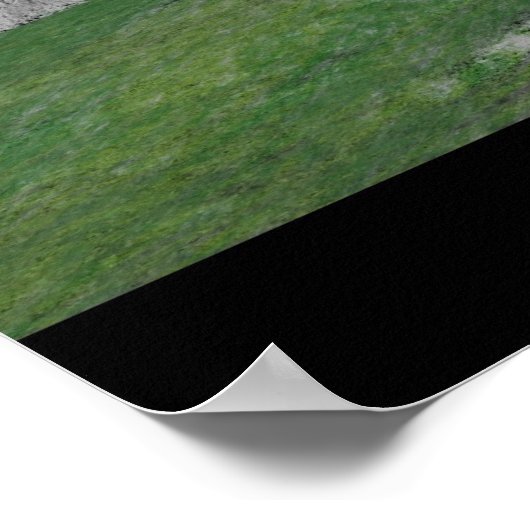 Poster Kepler's Dream (Coin)