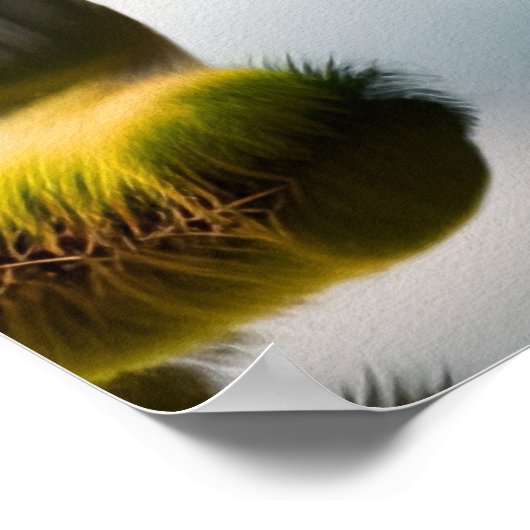 Poster Kerikeri Stone Store - Art en toile (Coin)