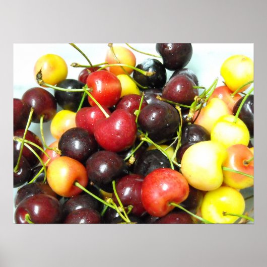 Poster kersen (Voorkant)