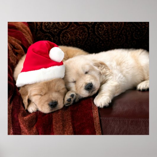 Poster kerstPuppies (Voorkant)