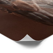 Poster Kestrel (Coin)