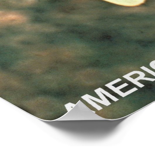 Poster Kestrel américain (Coin)