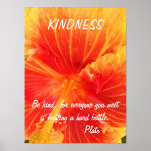 Poster Ketmie inspirée de Platon de citation d'affiche de