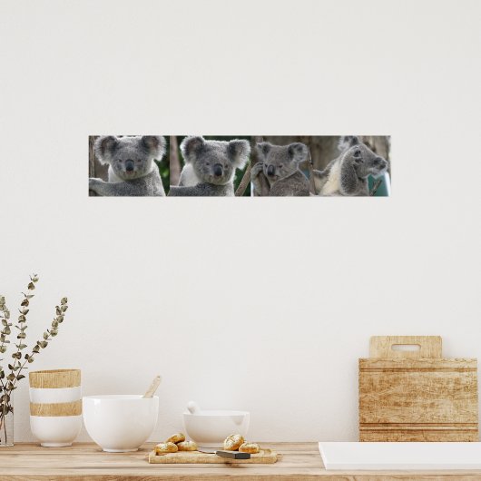 Poster keurt een Koala Australië goed (Keuken)