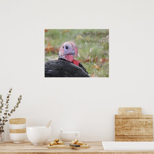 Poster Kevin La Turquie - Ancien Champ Météo (Cuisine)