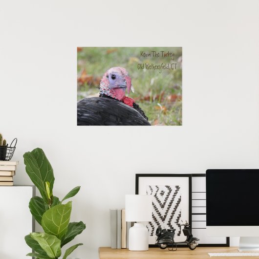 Poster Kevin La Turquie - Ancien Champ Météo (Bureau à domicile)