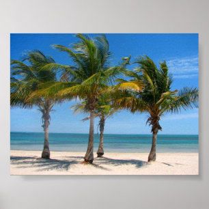 Poster Key Biscayne palmes