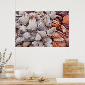 Poster Key West, coquillages (Cuisine)