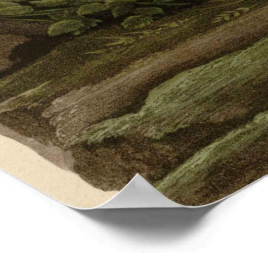 Poster Key West Dove (Coin)