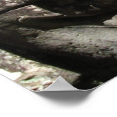 Poster Khmer Stone Face ... Temple de Bayon, Cambodge (Coin)