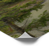 Poster Kicking Horse (Coin)