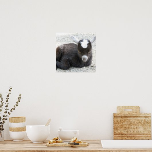 Poster Kid Goat (Cuisine)