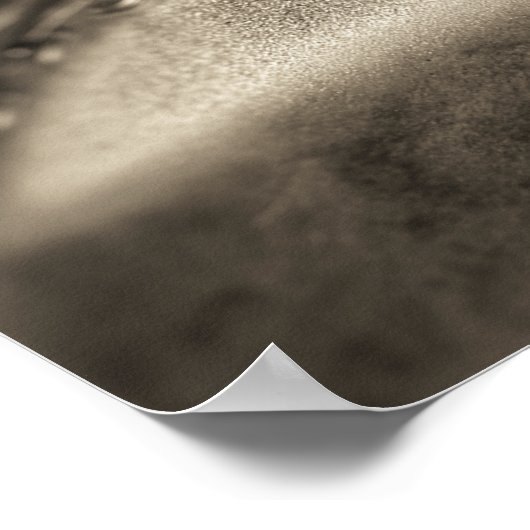 Poster Kiddie Ride à la Foire du Comté (Coin)