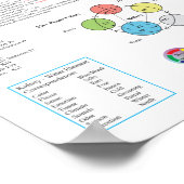 Poster Kidney Meridian Acupuncture Points (Coin)