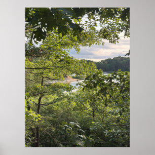 Poster 'Kijken door de bomen'