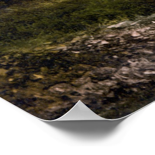 Poster Killiney Hill & Dalkey, Co. Dublin c1905 (Coin)