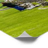 Poster Killkenny, Irlande. Le spectacle spectaculaire de (Coin)