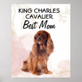 Poster King Charles Cavalier (Devant)