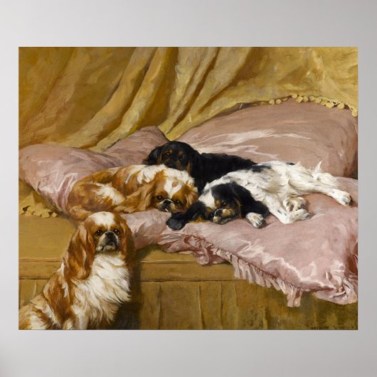 Poster King Charles Spaniels by Arthur Wardle (Devant)