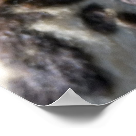 Poster King Cheetah (Coin)