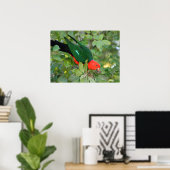 Poster King Parrot (Bureau à domicile)