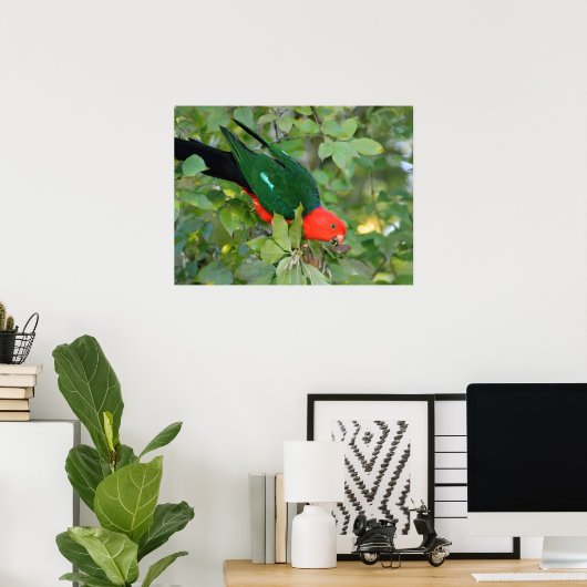 Poster King Parrot (Bureau à domicile)