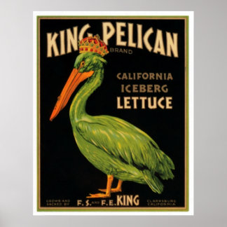 Poster King Pelican Lettuce